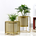 Top new Nordic ins macio e luxuoso oco dourado